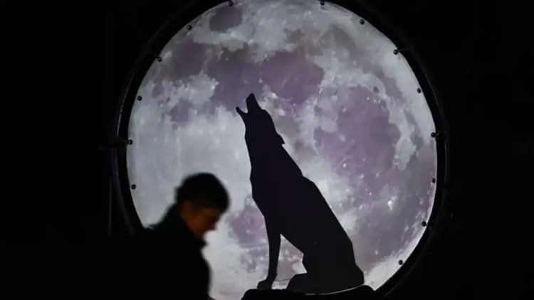 Witness the Splendor of the Wolf Moon: The First Full Moon of 2024