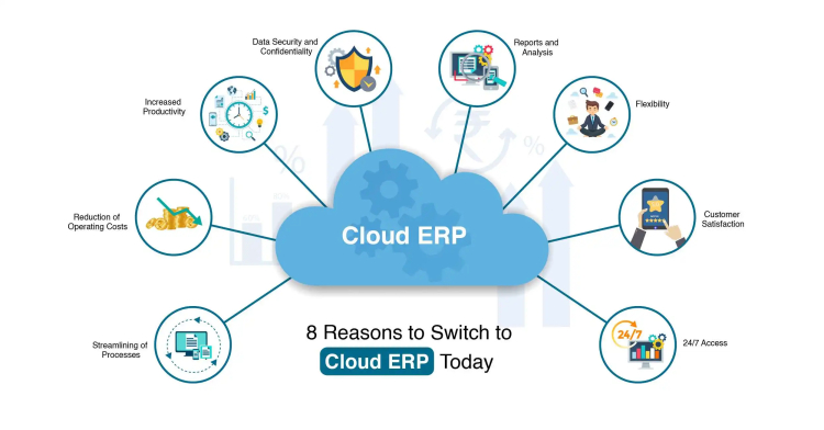 Maximizing Business Efficiency with Enterprise Resource Planning (ERP) Software: A 2024 Guide