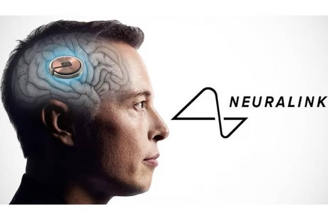 Neuralink and The Boring Company: Expanding into New Frontiers